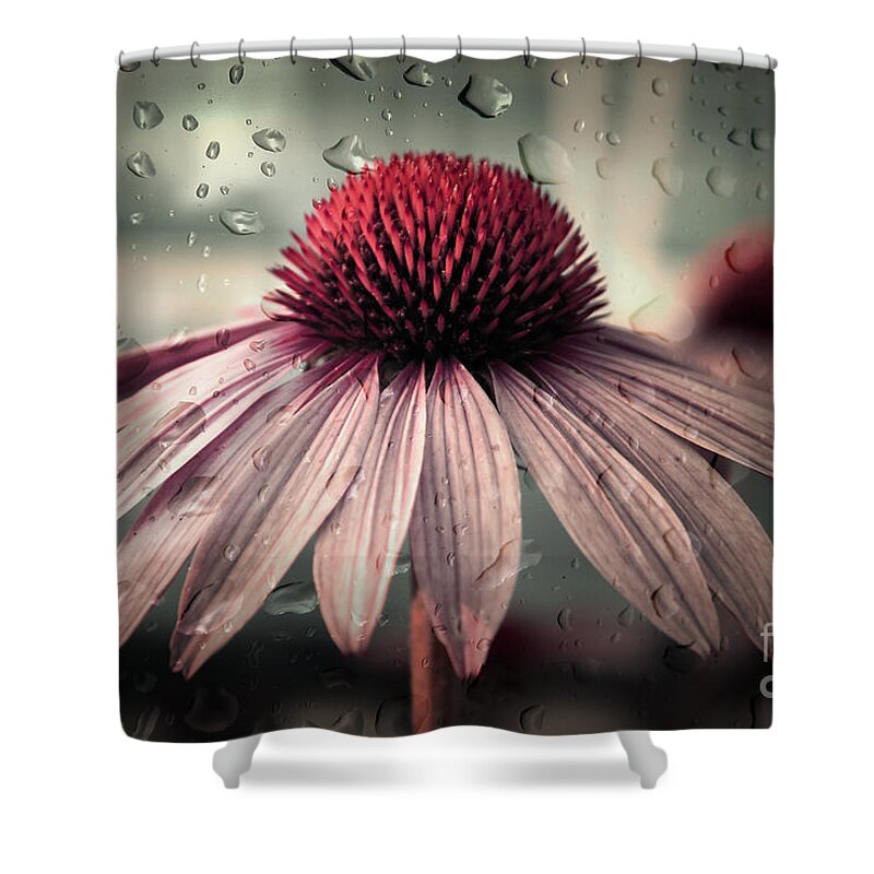 Flower Shower Curtain featuring the photograph Sad Solitude by Aimelle