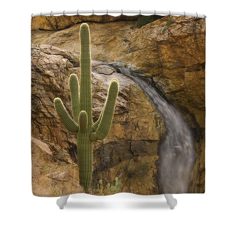 Feb0514 Shower Curtain featuring the photograph Saguaro Cactus And Waterfall Arizona by Tom Vezo