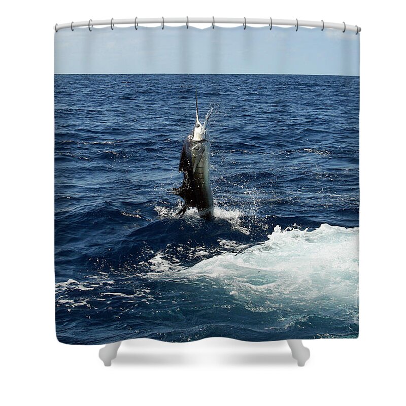 Costa Rica Shower Curtain featuring the photograph Sal's Sailfish by Bob Hislop