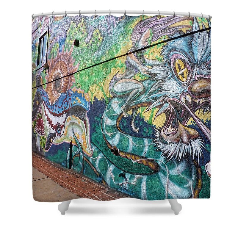 Snake Mural Shower Curtain featuring the photograph Salt Lake City - Mural 2 by Ely Arsha