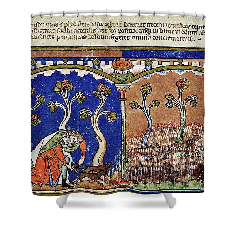 13th Century Shower Curtain featuring the painting Samson Buring Corn by Granger