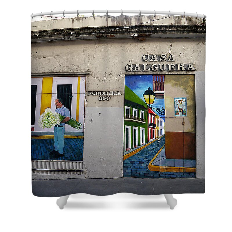 Richard Reeve Shower Curtain featuring the photograph San Juan - Casa Galguera Mural by Richard Reeve