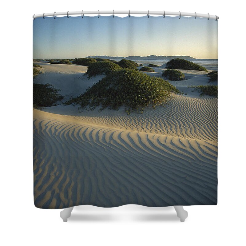 Feb0514 Shower Curtain featuring the photograph Sand Dunes Magdalena Island Baja by Tui De Roy