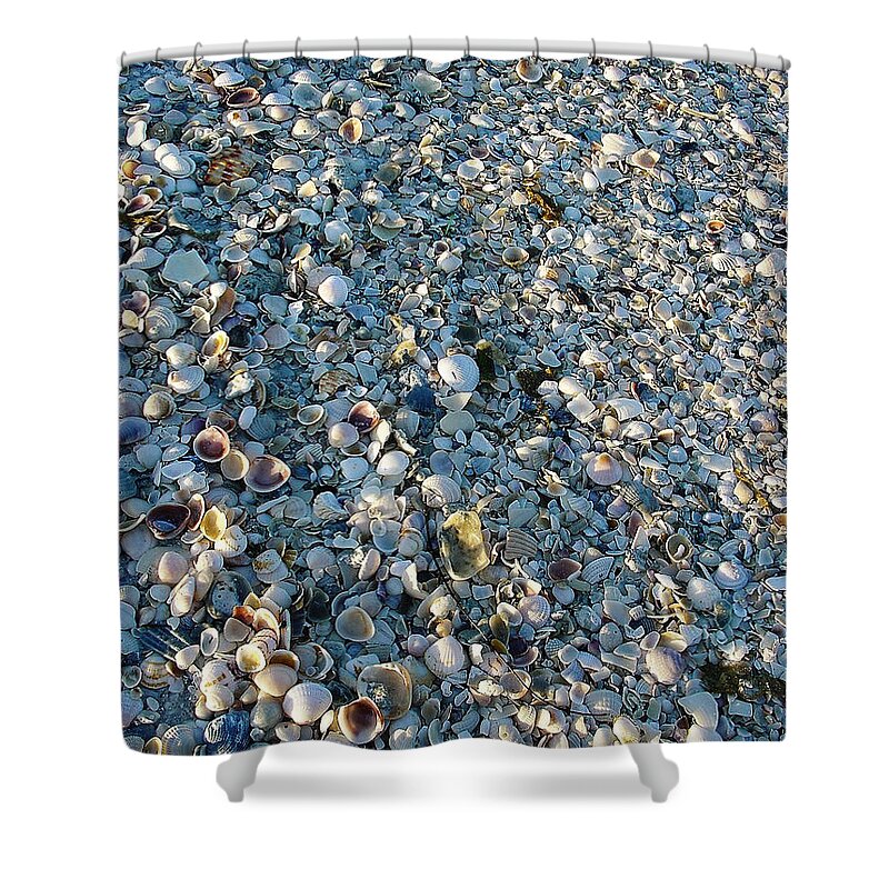 Sand Key Shower Curtain featuring the photograph Sand Key Shells by David Nicholls