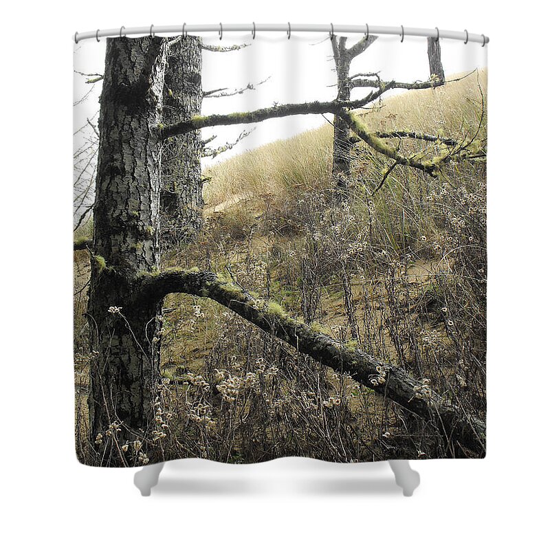 Tree Trunks Shower Curtain featuring the photograph Sandy Hillside by Adria Trail