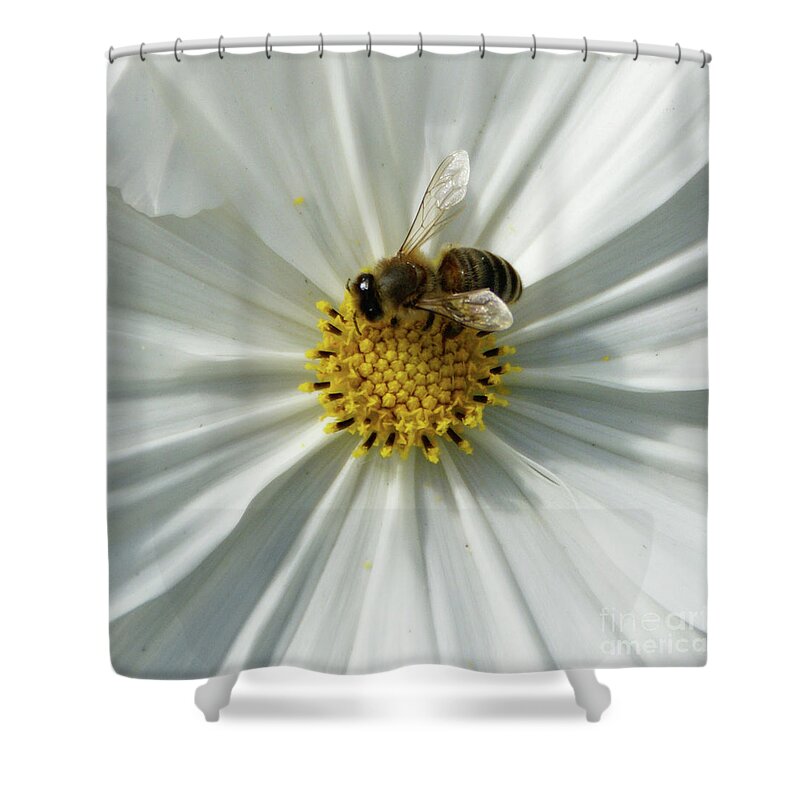 Bee Shower Curtain featuring the photograph Satin Sheets by Linda Shafer