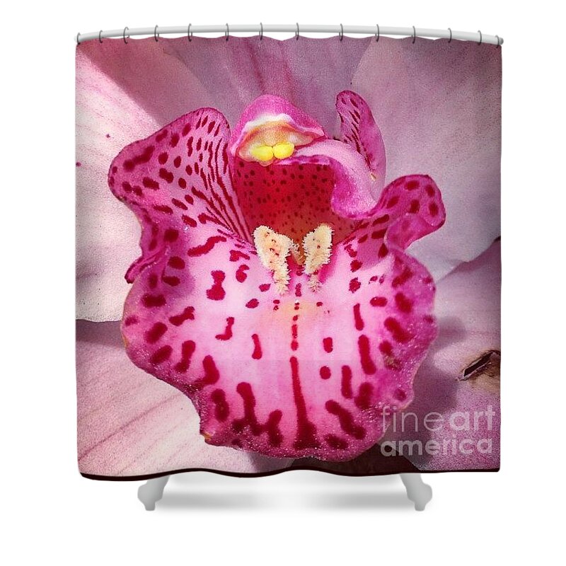 Orchid Shower Curtain featuring the photograph Say Ahhh by Denise Railey