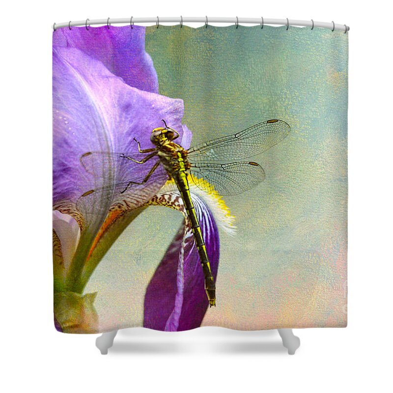Iris Germanica Shower Curtain featuring the photograph Say Hello To Spring by Jai Johnson