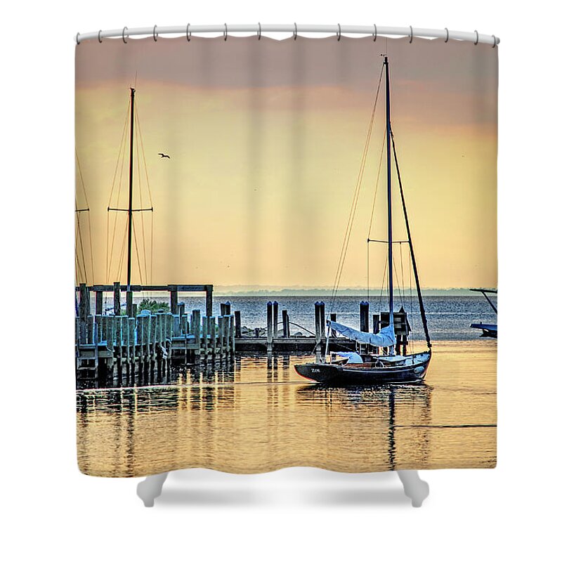 Palm Shower Curtain featuring the digital art Say it aint Zoe by Michael Thomas