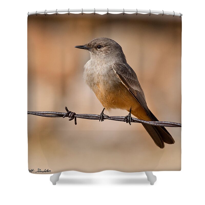 Animal Shower Curtain featuring the photograph Say's Phoebe on a Barbed Wire by Jeff Goulden
