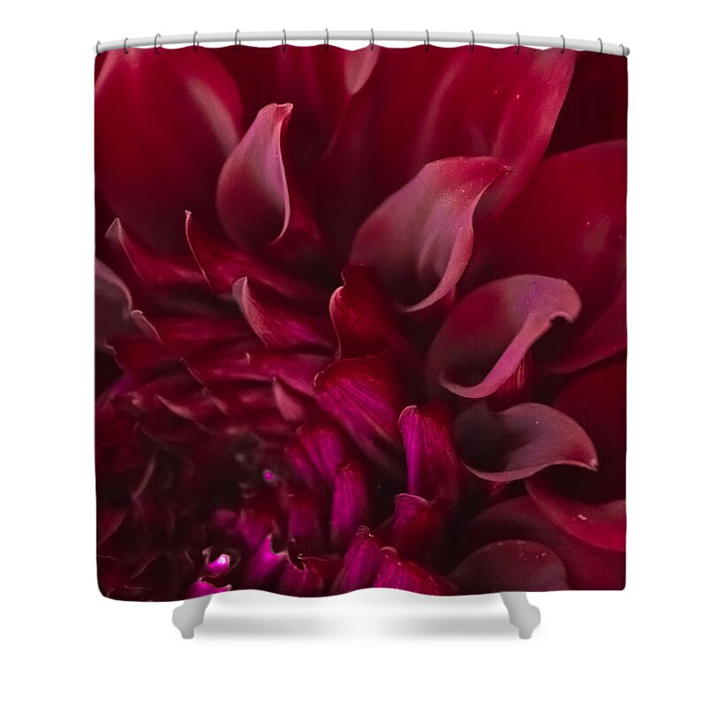 Red Shower Curtain featuring the photograph Scarlet Spiral by Joel Loftus