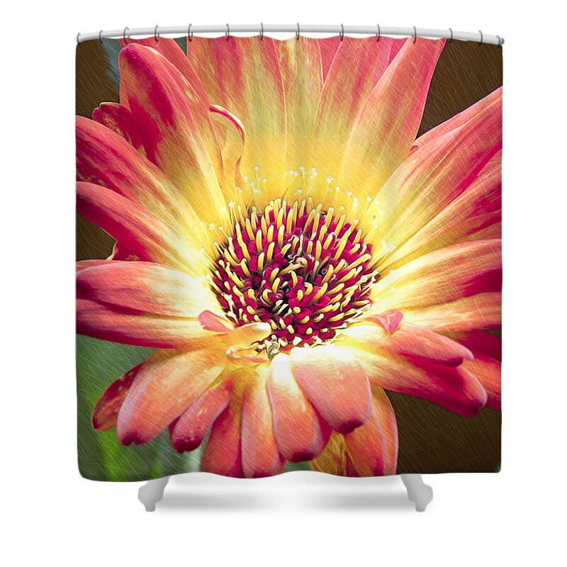 Flower Shower Curtain featuring the photograph Scratched Gerber Daisy by Bill and Linda Tiepelman