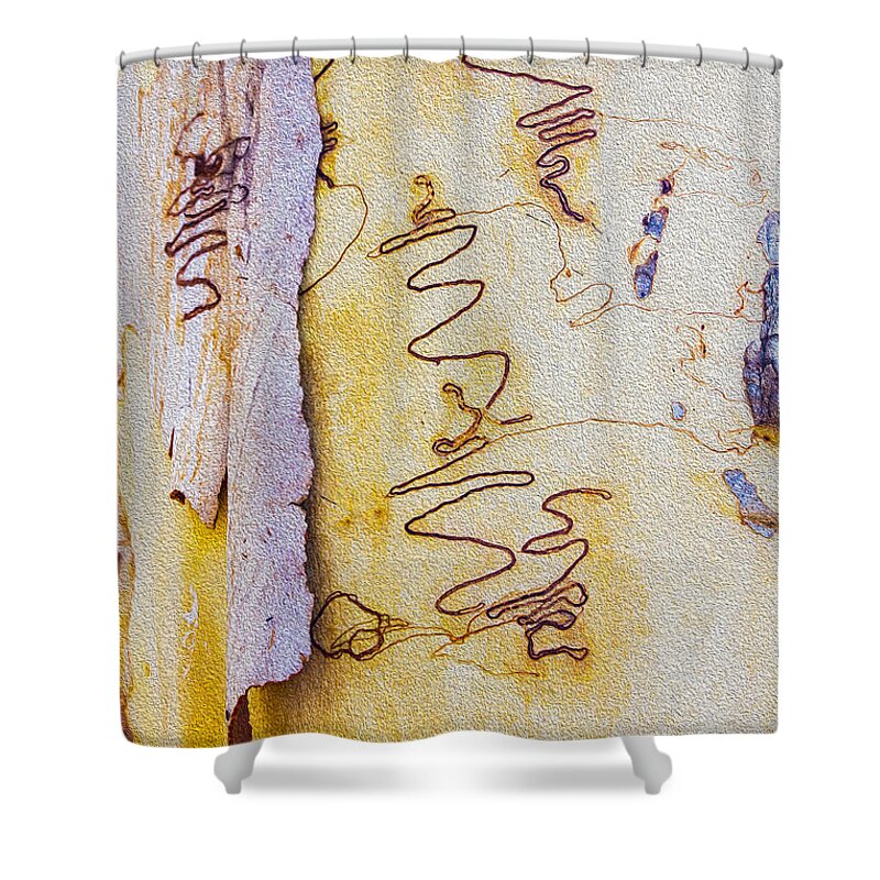 Scribbly Bark Shower Curtain featuring the photograph Scribbly gum bark by Sheila Smart Fine Art Photography