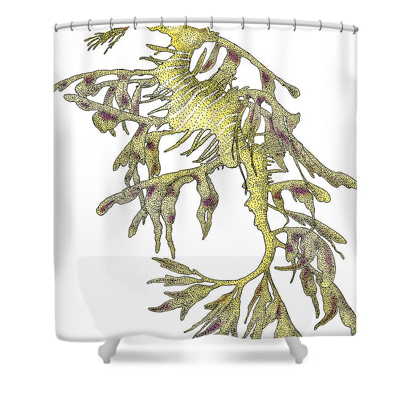 Illustration Shower Curtain featuring the photograph Sea Dragon by Roger Hall