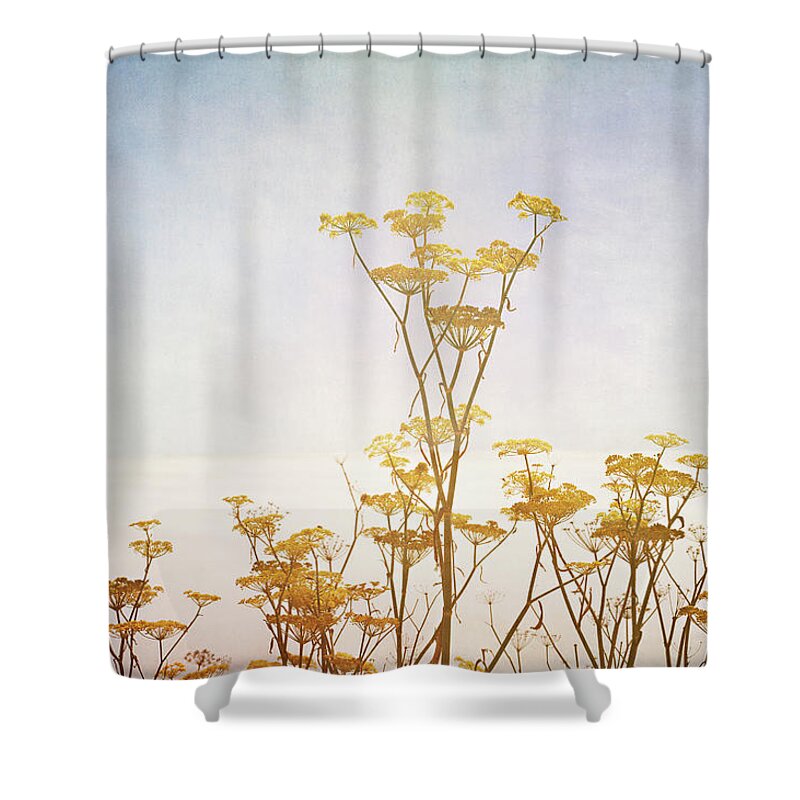 San Francisco Shower Curtain featuring the photograph Sea Fog & Wild Fennel On The Big Sur by Tracy Packer Photography
