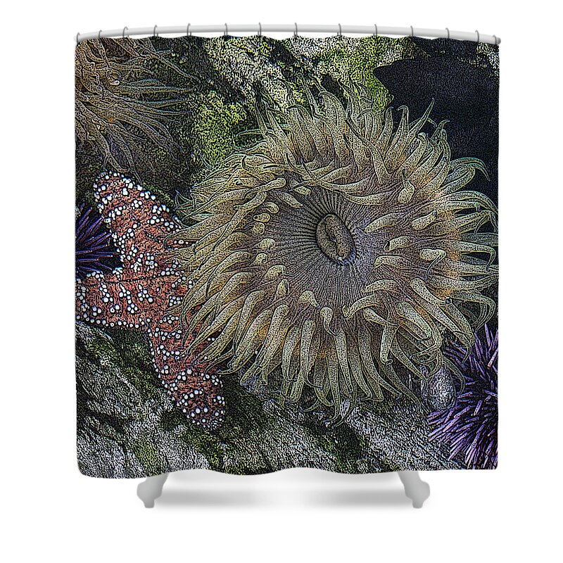 Sea Urchins Shower Curtain featuring the digital art Sea life by Ernest Echols