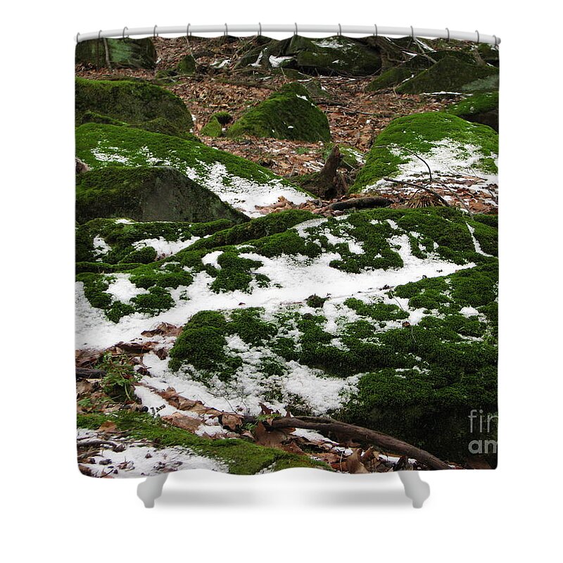 Tinker's Creek Shower Curtain featuring the photograph Sea of Green by Michael Krek