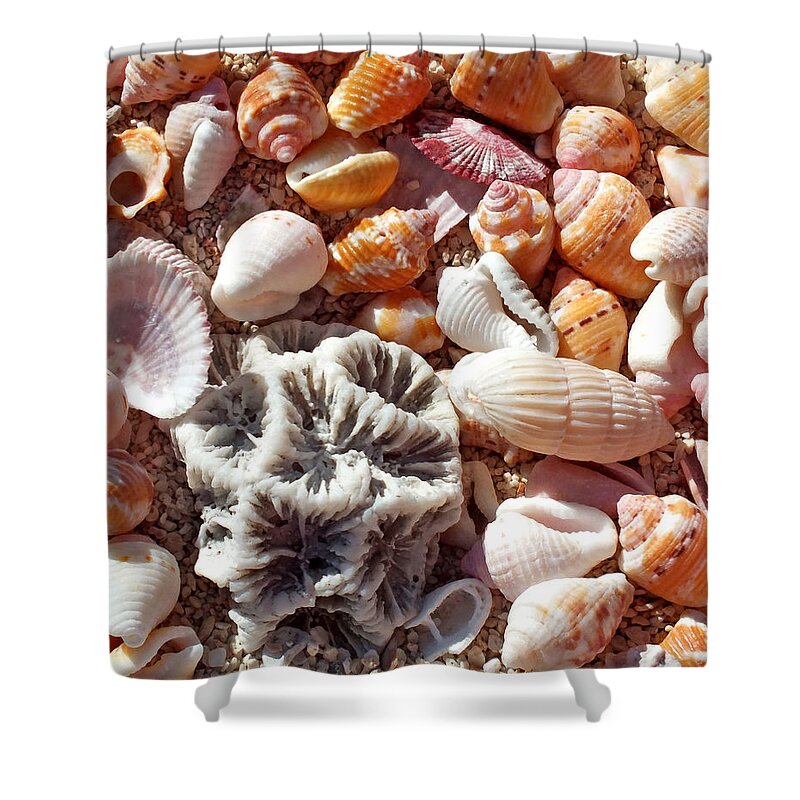 Duane Mccullough Shower Curtain featuring the photograph Sea Shells Upclose 5 by Duane McCullough
