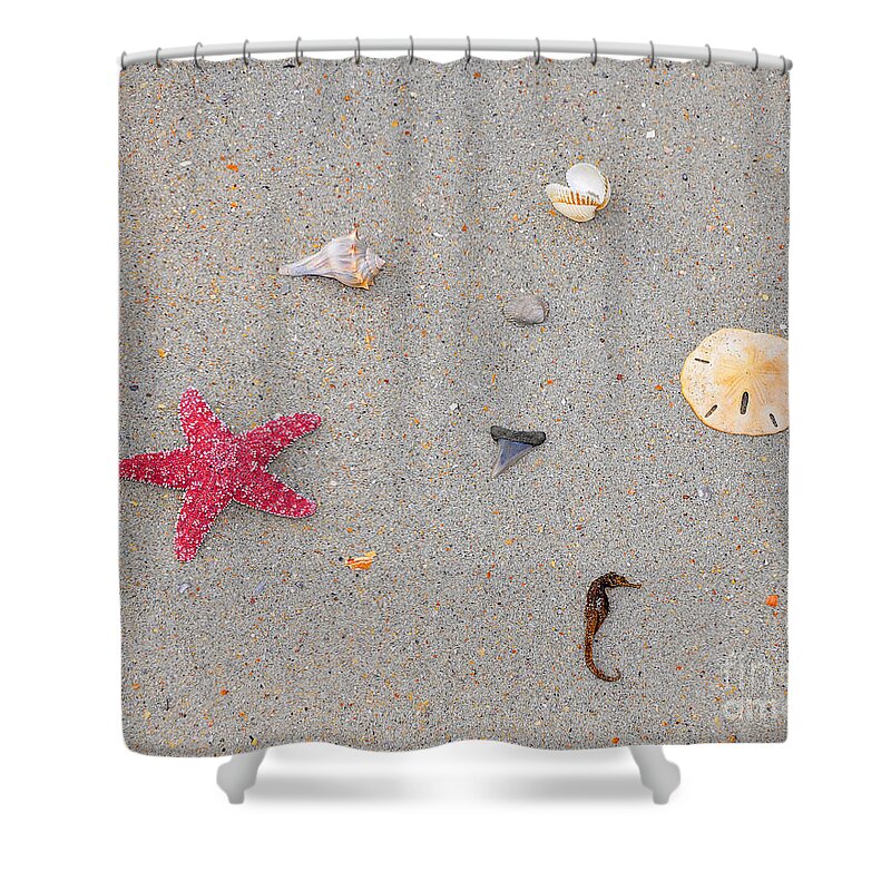 Sea Star Shower Curtain featuring the photograph Sea Swag - Red by Al Powell Photography USA