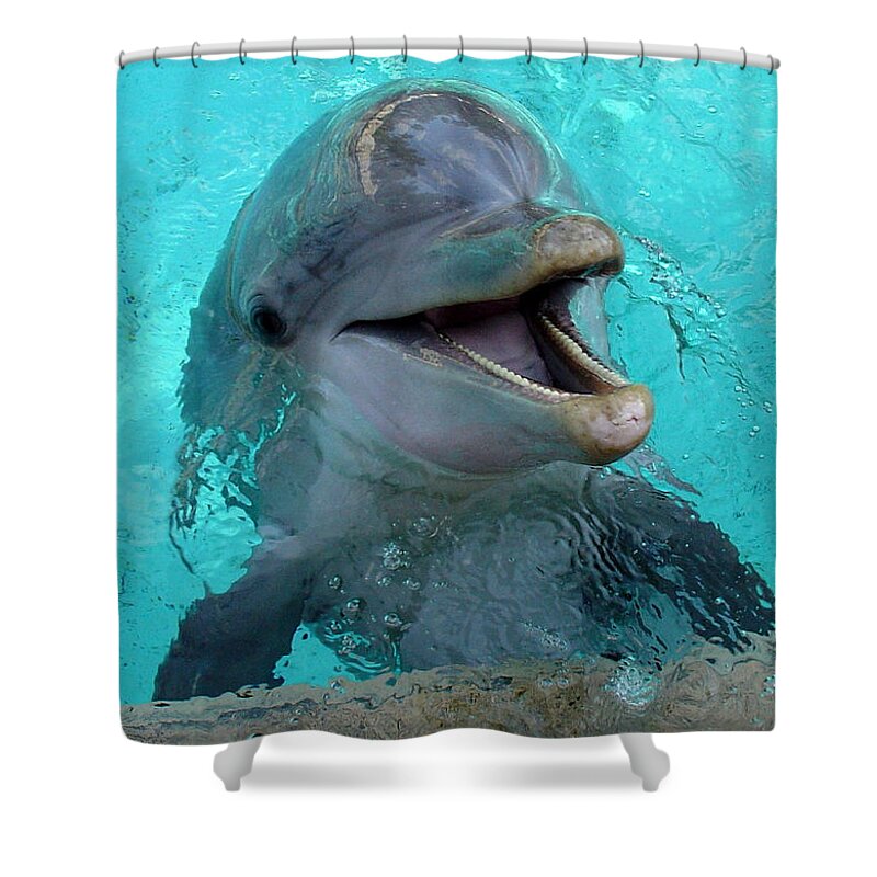 Sea World Shower Curtain featuring the photograph Sea World Dolphin by David Nicholls