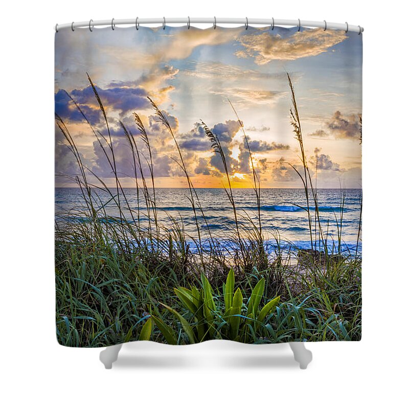 Clouds Shower Curtain featuring the photograph Seagrasses by Debra and Dave Vanderlaan