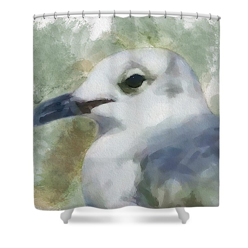 Seagull Shower Curtain featuring the painting Seagull Closeup by Greg Collins