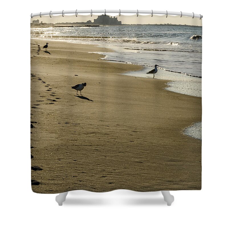 Rockaway Shower Curtain featuring the photograph Seagulls Early Morning Rockaway Beach by Maureen E Ritter