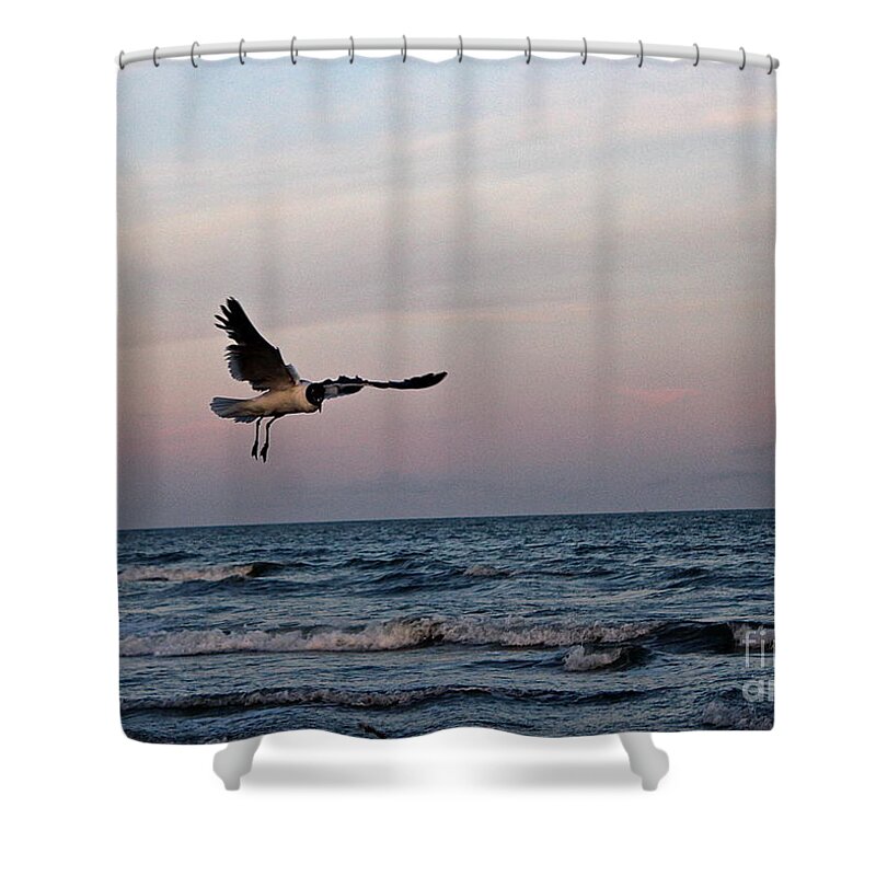 Seascape Shower Curtain featuring the photograph Seagull's Sunset Snatch by IK Hadinger