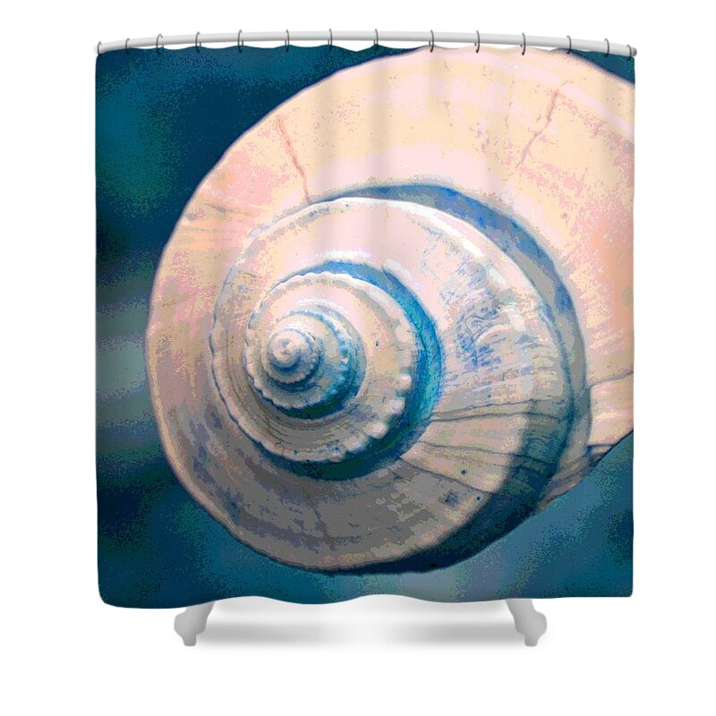 Shell Shower Curtain featuring the photograph Seashell In Pastel by Deena Stoddard