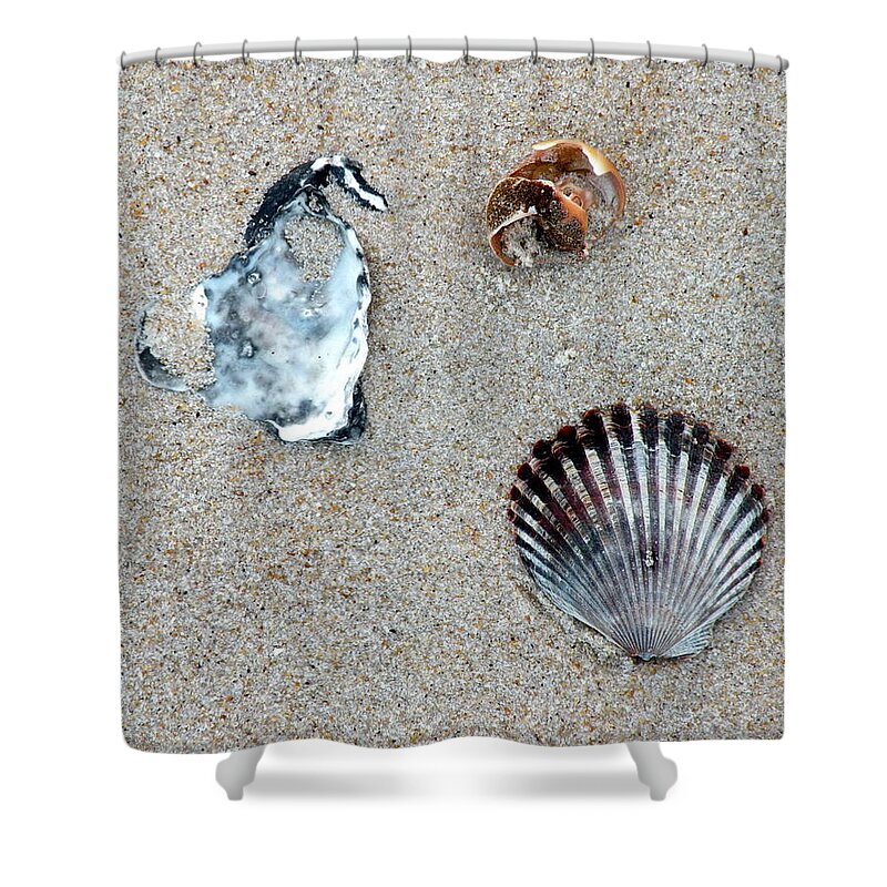 Shell Shower Curtain featuring the photograph Seashells On the Beach by Kim Bemis