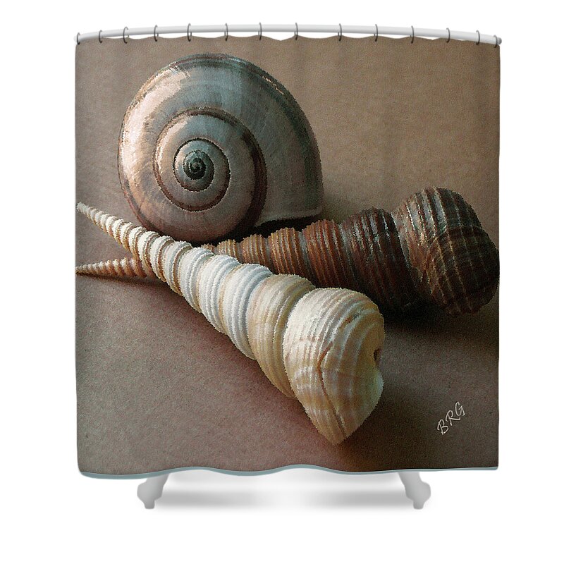 Seashell Shower Curtain featuring the photograph Seashells Spectacular No 29 by Ben and Raisa Gertsberg