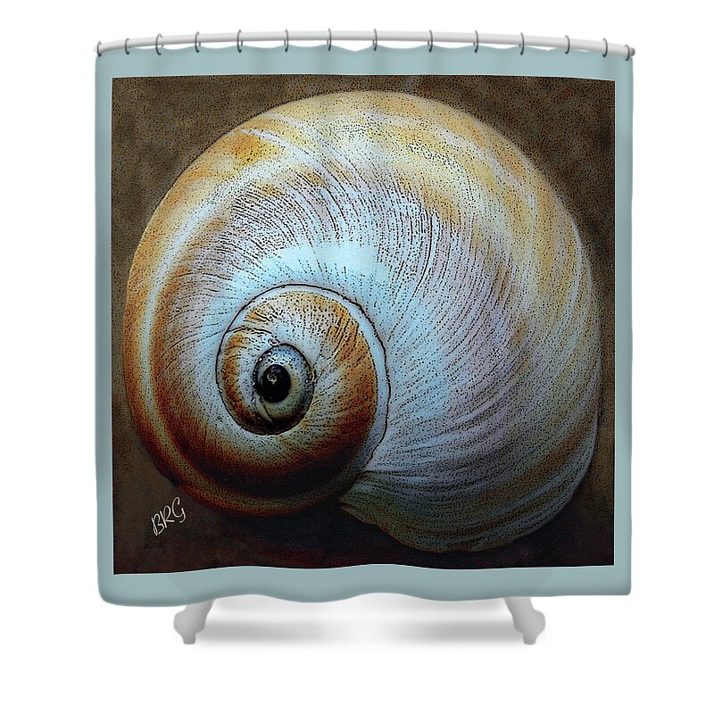 Seashell Shower Curtain featuring the photograph Seashells Spectacular No 36 by Ben and Raisa Gertsberg
