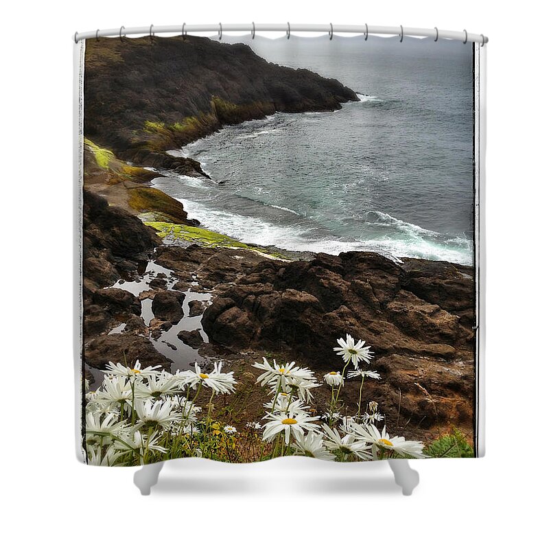 Beautiful Shower Curtain featuring the photograph Seaside Daisies by Venetta Archer