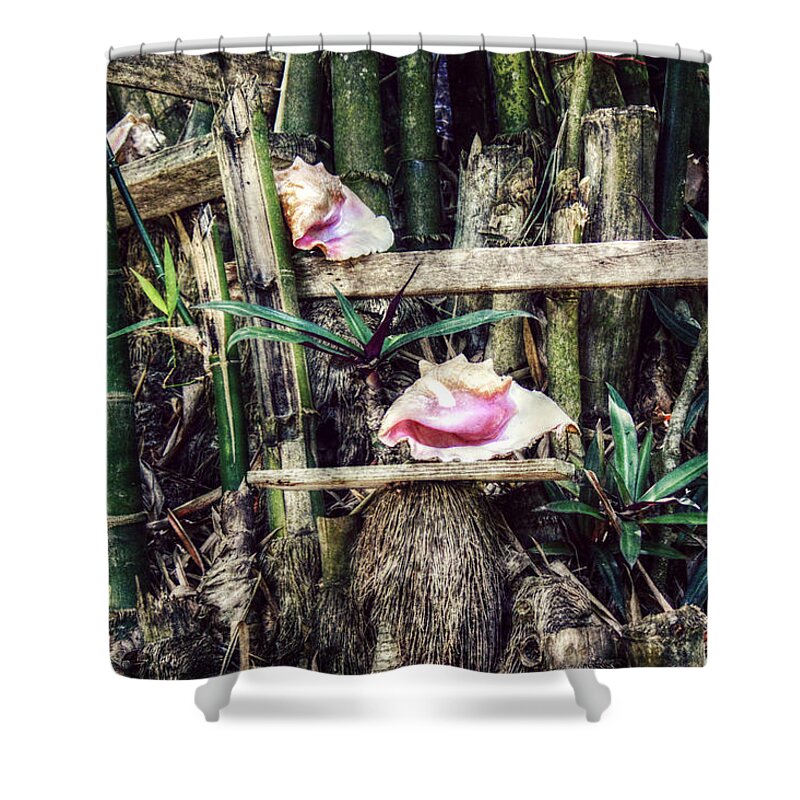 Conch Shells Shower Curtain featuring the photograph Seaside Display by Melanie Lankford Photography