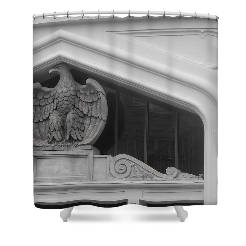 Decoration Shower Curtain featuring the photograph Seated Eagle by Adria Trail