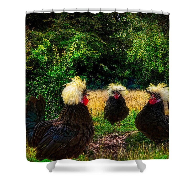 Chicken Shower Curtain featuring the photograph Secret Conclave Of The Barristers by Chris Lord