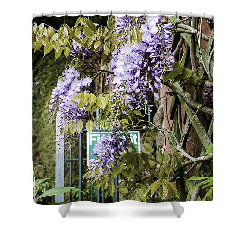 Gate Shower Curtain featuring the photograph Secret Garden by Spikey Mouse Photography
