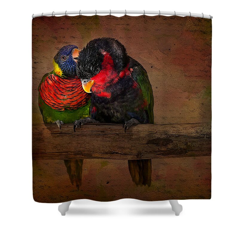 Animals Shower Curtain featuring the photograph Secrets by Susan Candelario