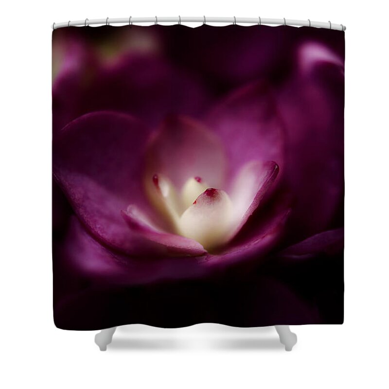 Hydrangea Shower Curtain featuring the photograph Secrets Within by Michael Eingle