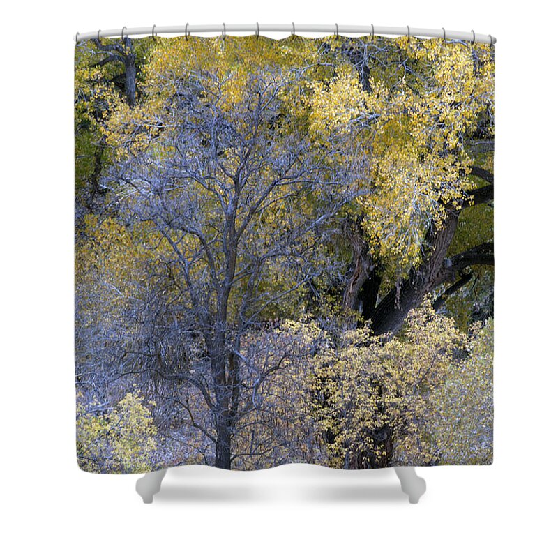 Fall Color Shower Curtain featuring the photograph Sedona Fall Color by Tam Ryan