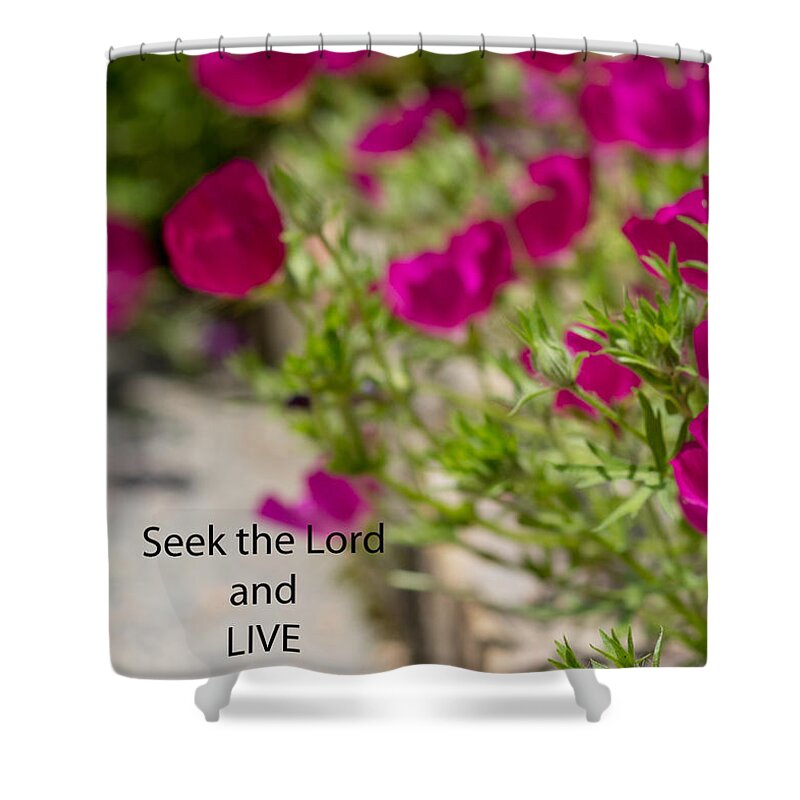 Scripture Shower Curtain featuring the photograph Seek the Lord and Live by Sandra Clark