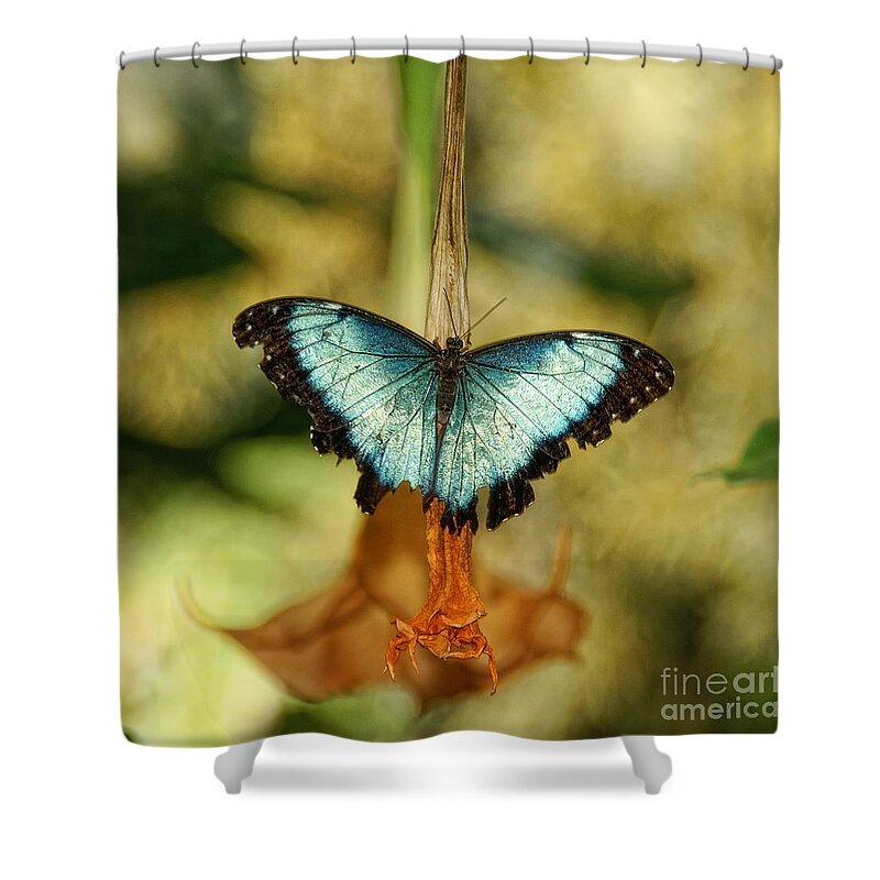 Butterfly Shower Curtain featuring the photograph Seen Better Days by Peggy Hughes