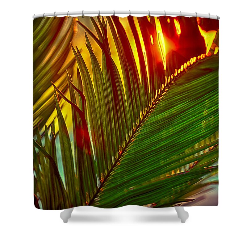 Palm Shower Curtain featuring the photograph Sego Frond Fire by Scott Campbell