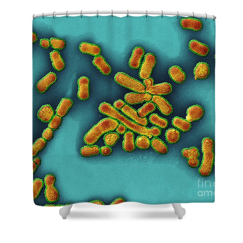 Sem Shower Curtain featuring the photograph Sem Of Influenza A Virus by Eye of Science