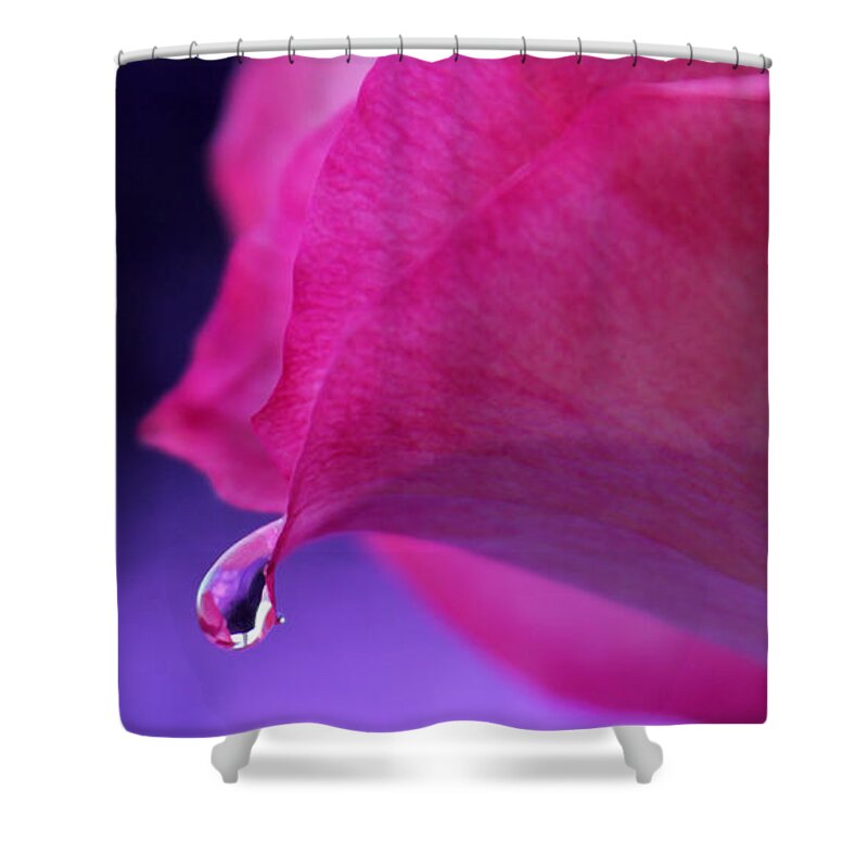 Pink Rose Shower Curtain featuring the photograph Sentimental Memories by Krissy Katsimbras