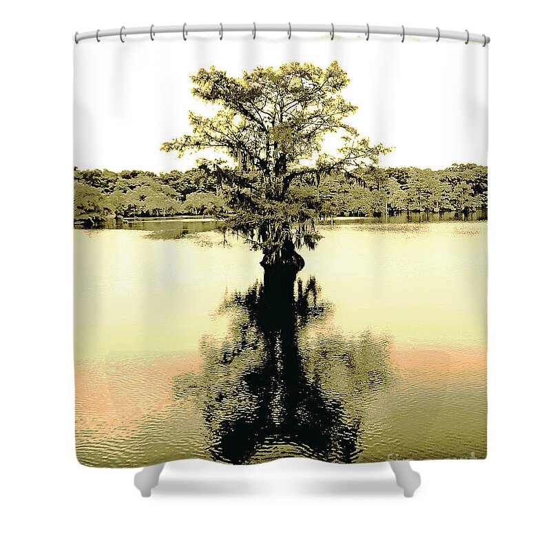 Cypress Shower Curtain featuring the digital art Sepia Cypress Chicot SP Louisiana by Lizi Beard-Ward