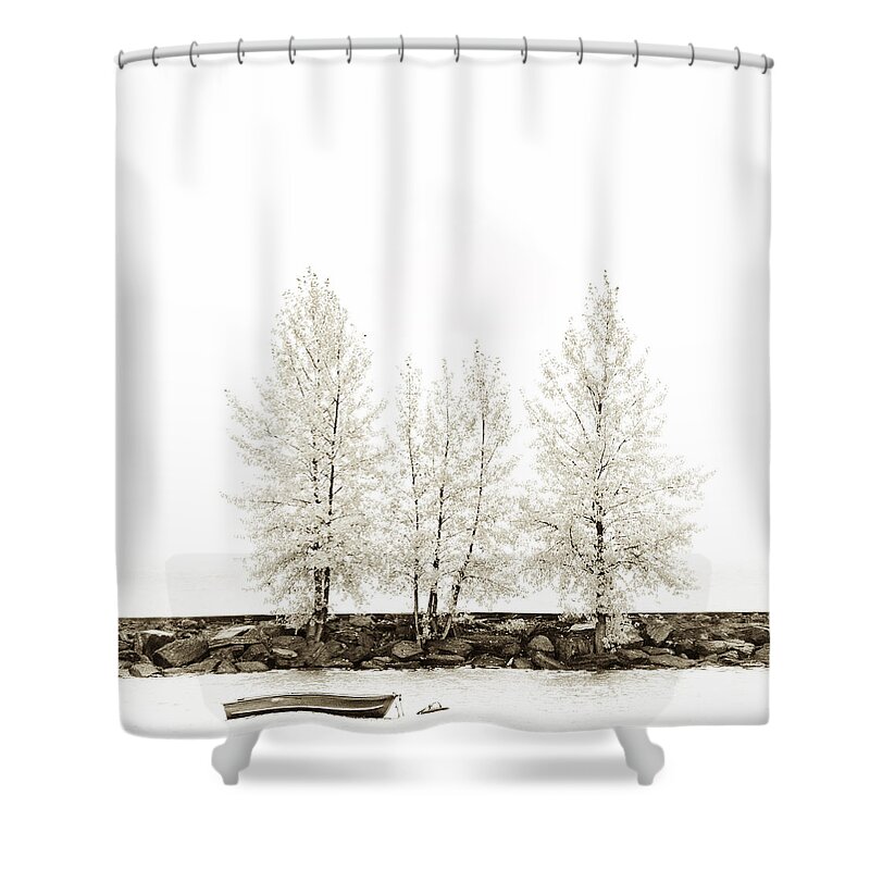 Autumn Shower Curtain featuring the photograph Sepia Square Tree #2 by U Schade