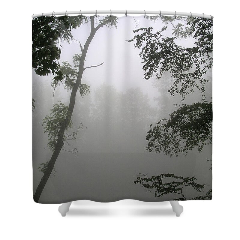 Fog Shower Curtain featuring the photograph Serenity by Craig Burgwardt