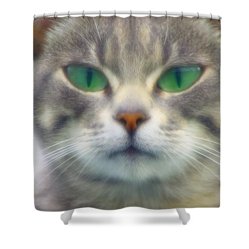 Adria Trail Shower Curtain featuring the photograph Serious by Adria Trail