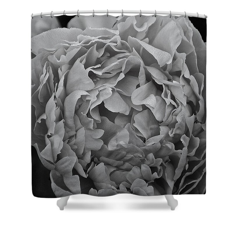 Flower Shower Curtain featuring the photograph Shades Of Peony by Susan Herber